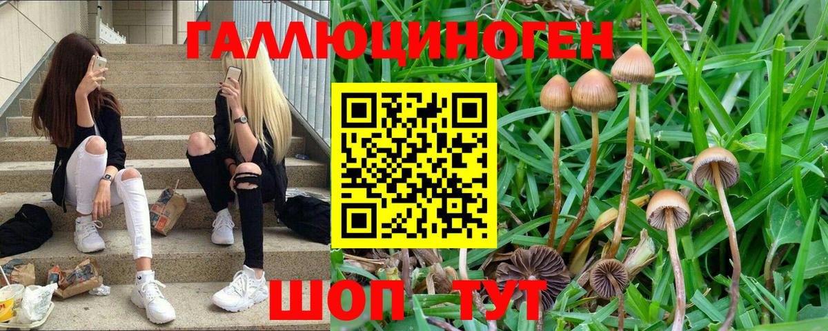 Галлюциногенные грибы мицелий  Вход с VPN  Большой Камень 