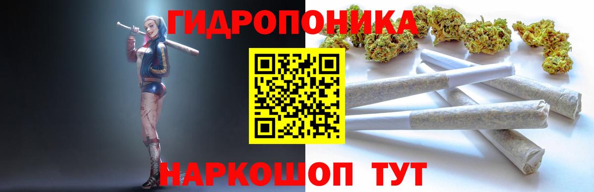 Большой Камень  Шишки марихуана сатива  Бошки Шишки OG Kush  Вход с VPN  Бошки Шишки тримм 
